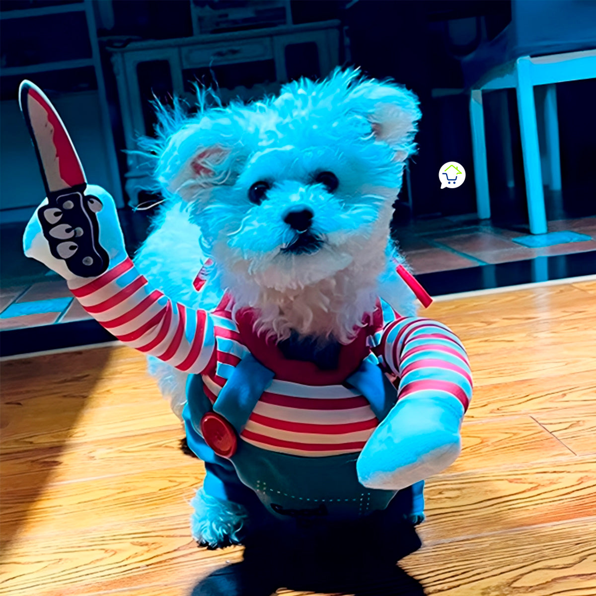 Disfraz Mascotas Chucky